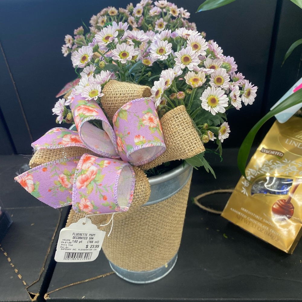 Meet your Posher, Jen